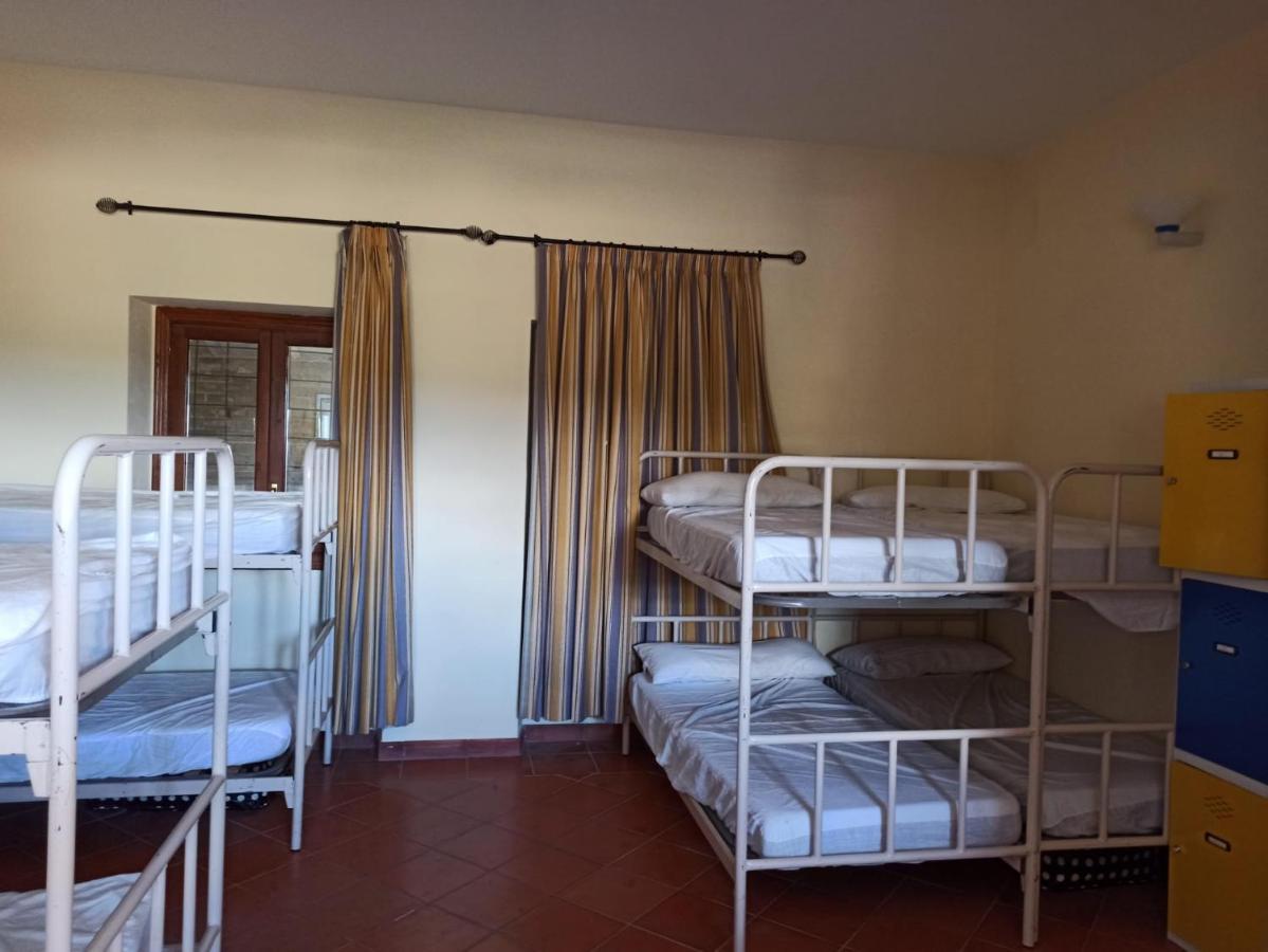 Albergue De Sos Del Rey Catolico Luaran gambar