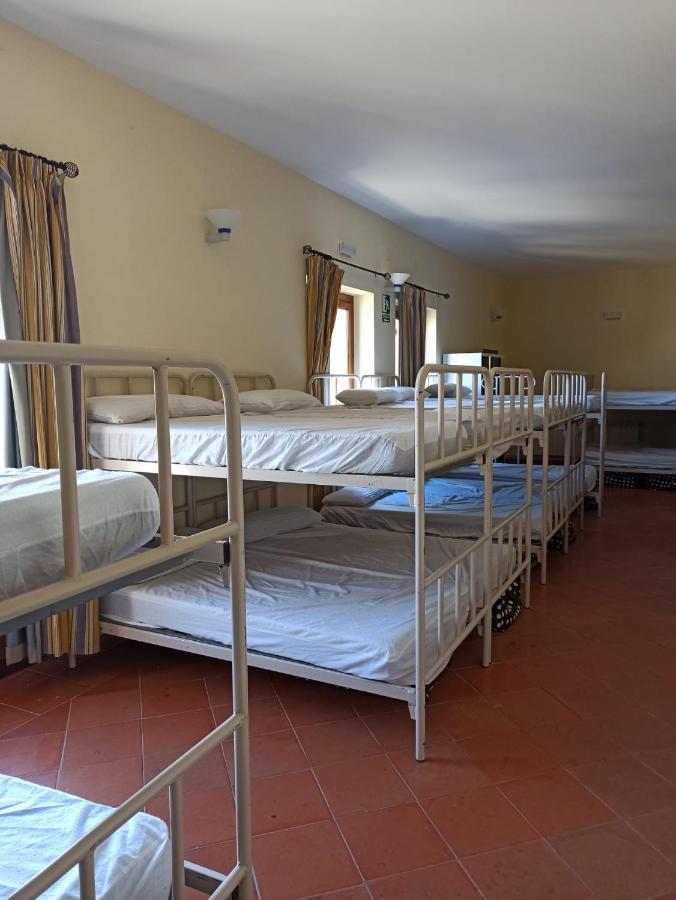 Albergue De Sos Del Rey Catolico Luaran gambar