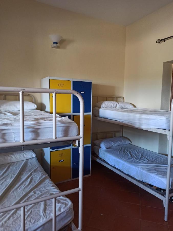 Albergue De Sos Del Rey Catolico Luaran gambar
